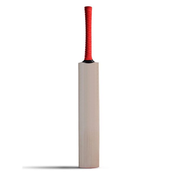 Cricket Bat